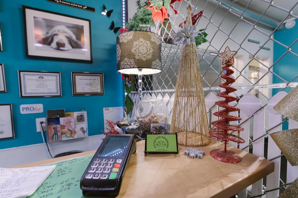 Premium Dog Daycare & Grooming Business6